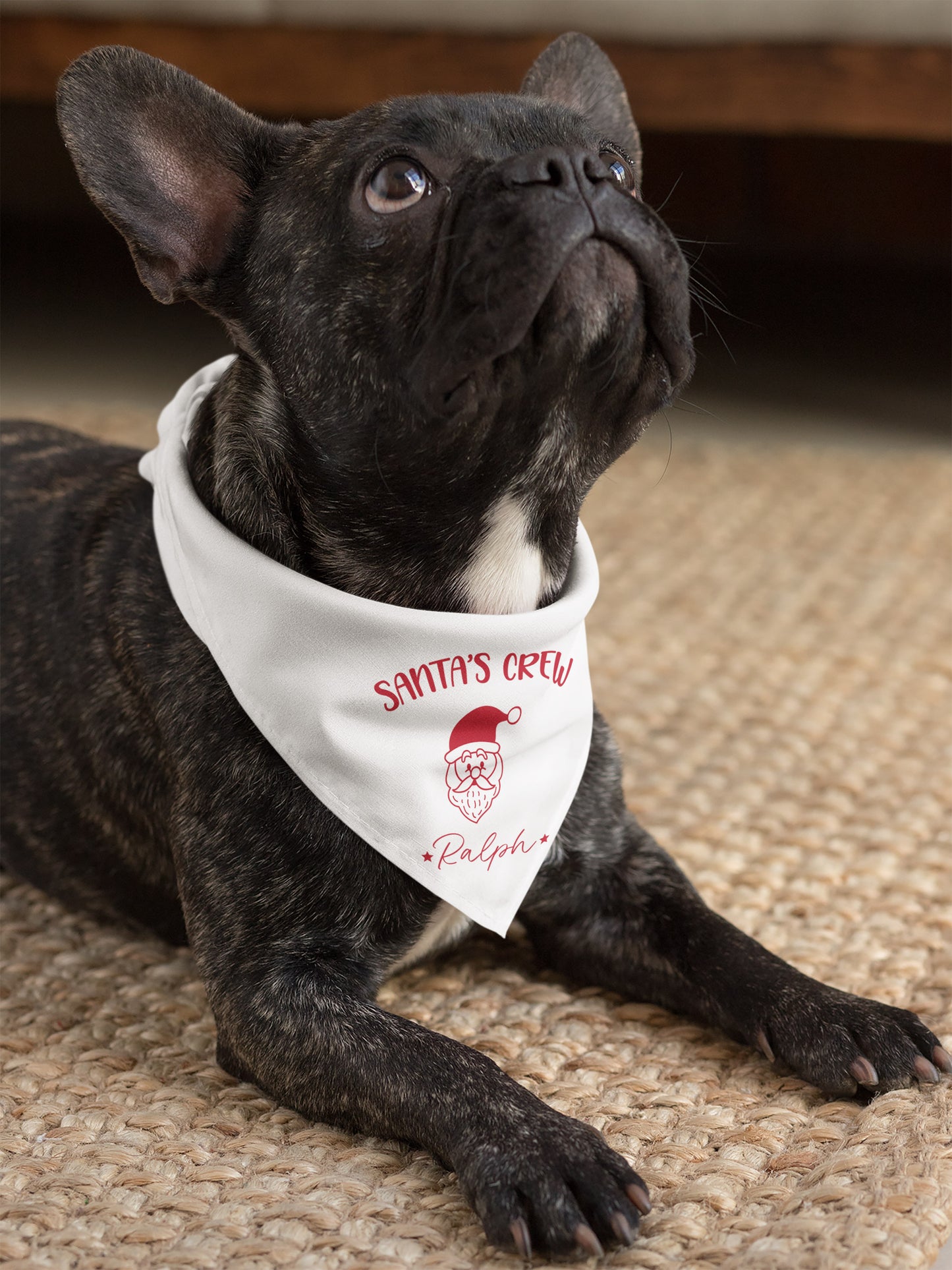 Black dog wearing a 'Santa's Crew' bandana on a carpeted floor